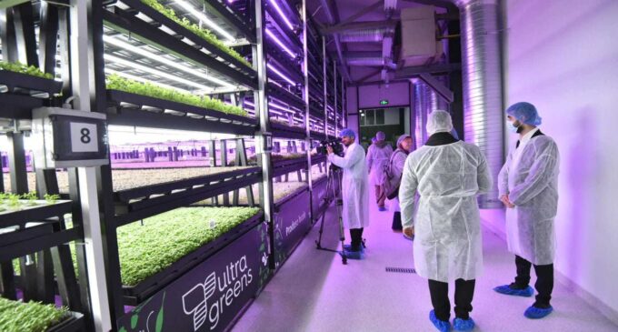 green-hub-kaufland-by-ultragreens-sera-microplante-turda-680x365