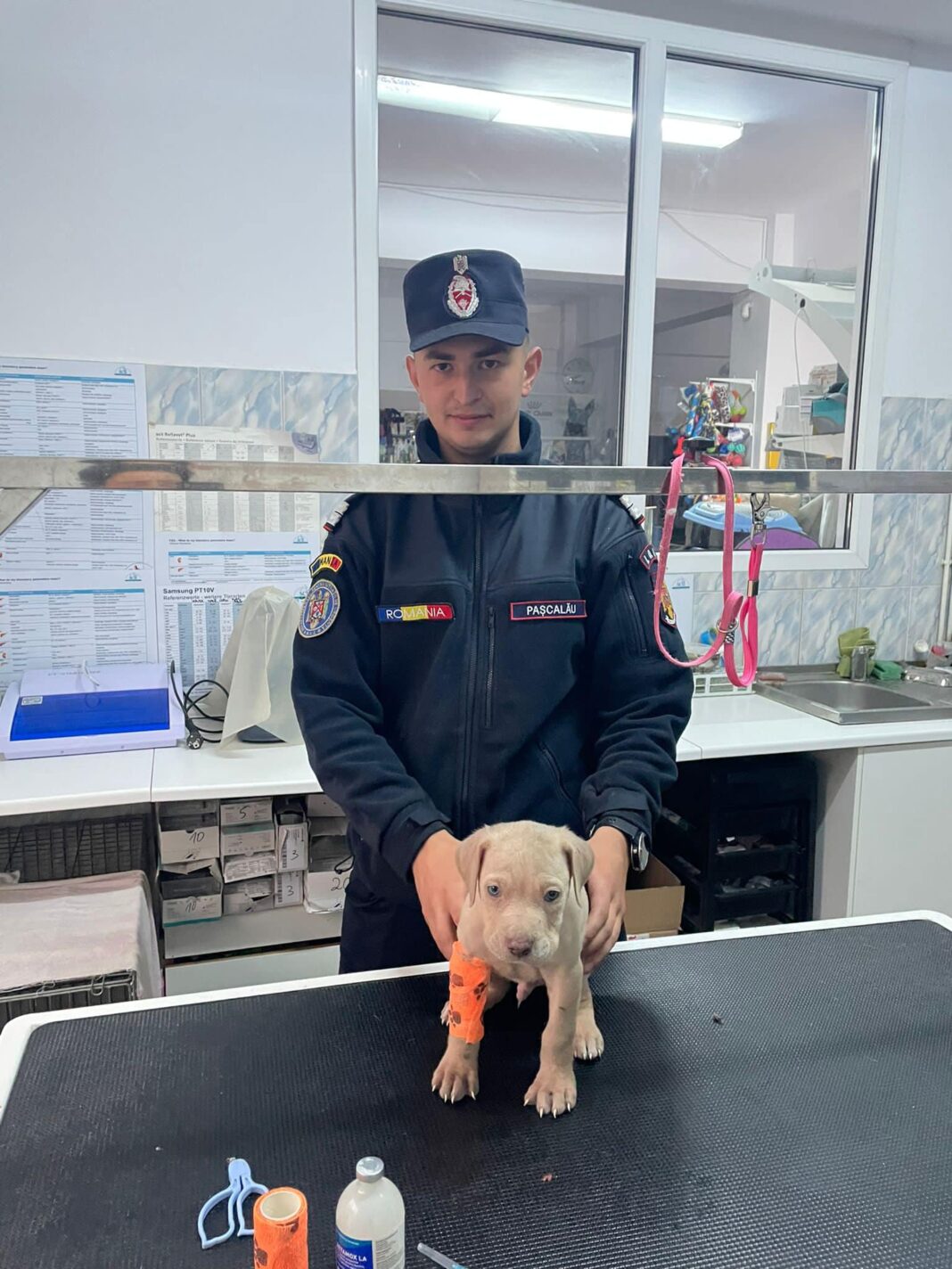 “Vă rog să aveți grijă de cățelul nostru, să nu îl lăsați aici!” – mesajul răniților din accidentul de la Bologa, pentru Pompierii clujeni