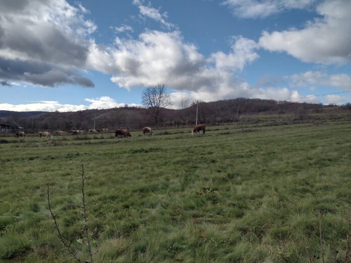 313910341_1292693798157143_7738230536308327782_n