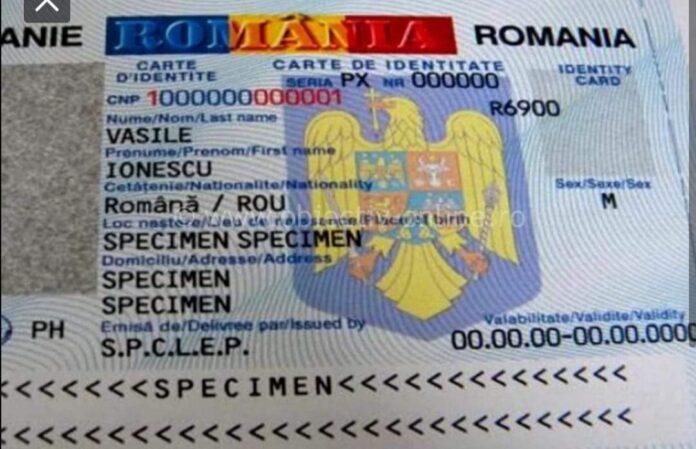 FB_IMG_1667291062226