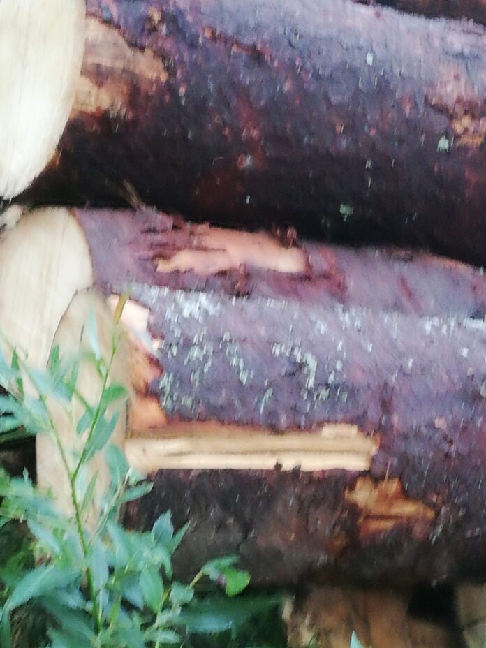 WhatsApp Image 2023-01-10 at 23.45.29