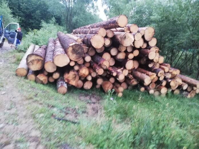 WhatsApp Image 2023-01-10 at 23.45.30 (2)