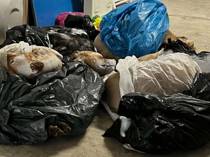 WhatsApp Image 2023-01-18 at 21.28.16