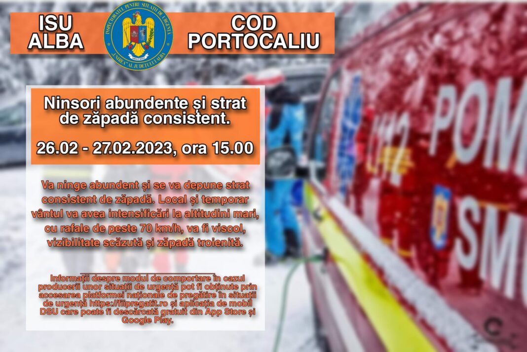 Cod PORTOCALIU de zăpadă în Apuseni