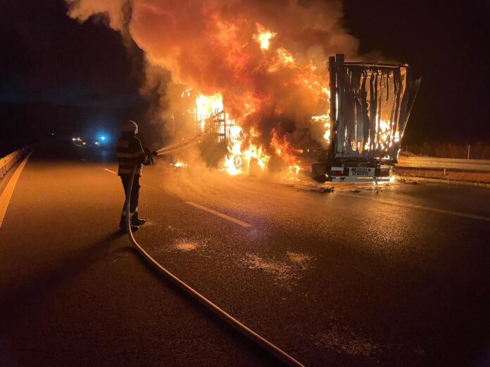 IMG-20230309-WA0009(1)