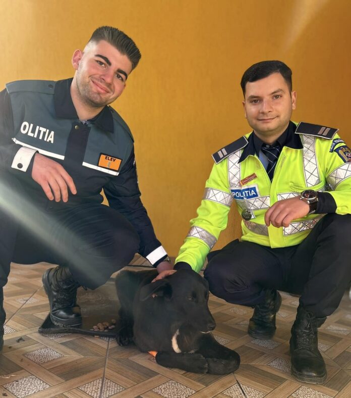 vlad-septimiu-luduș