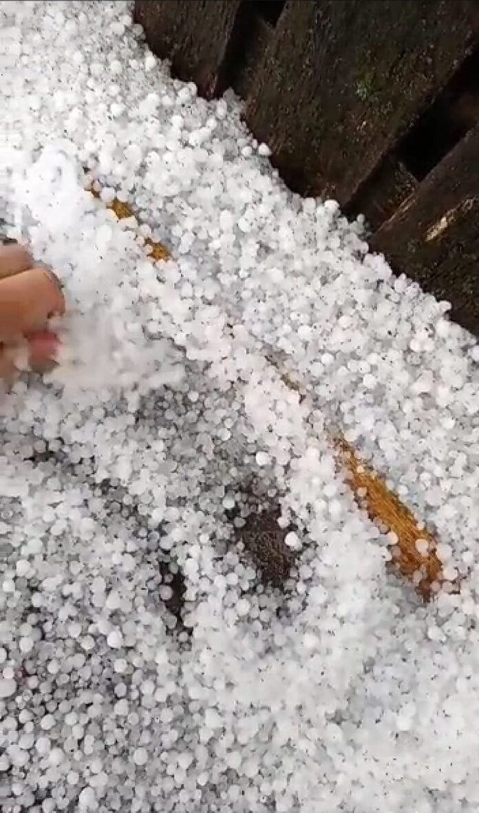 339654788_6330432580308872_1072384851347451807_n