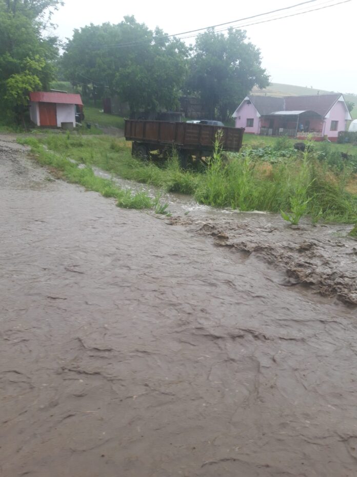 356215192_576982101281744_2942175000595331856_n