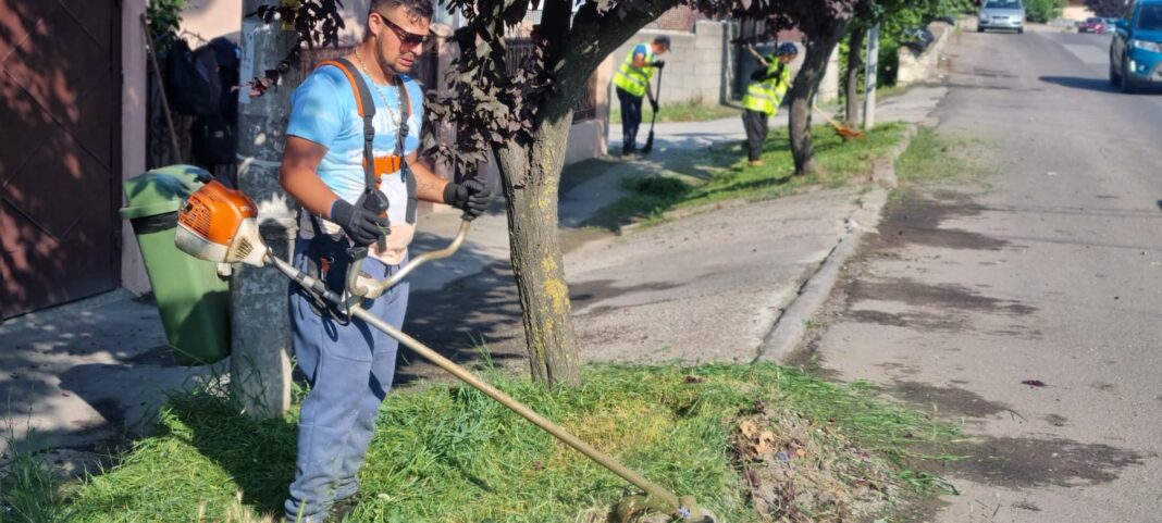 Primăria Turda: Am început săptămâna cu activități de întreținere spații verzi