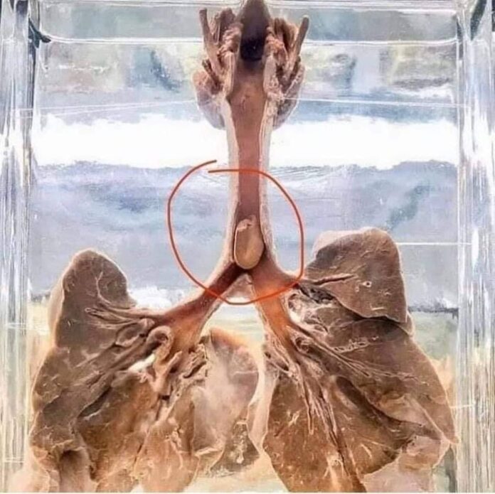 364685196_701845391958641_7415081921706914006_n