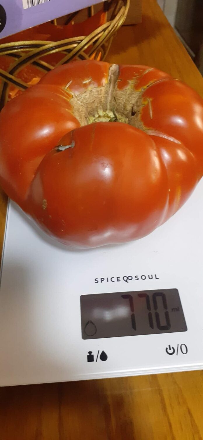 FB_IMG_1692039025316