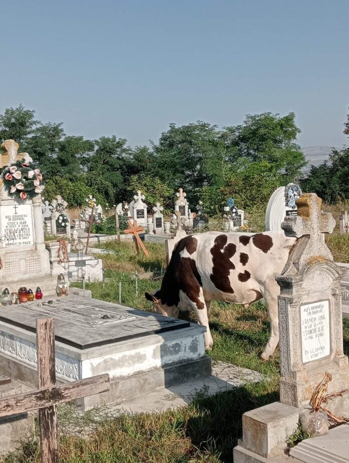 FB_IMG_1693223055394