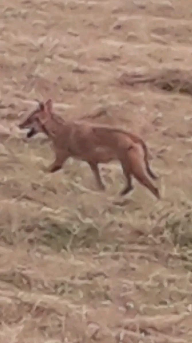 WhatsApp-Image-2023-08-04-at-11.16.08