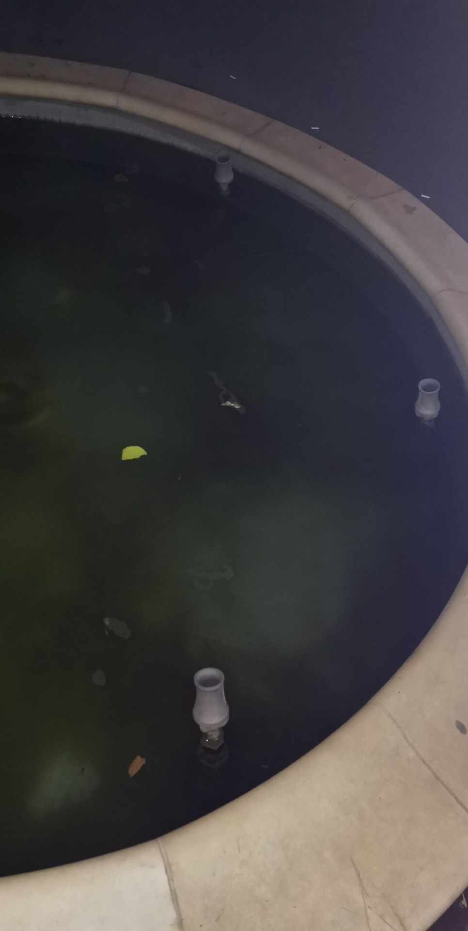 N-a durat mult – fântâna arteziană din Sâncrai e jegoasă, din nou N-a durat mult – fântâna arteziană din Sâncrai e jegoasă, din nou