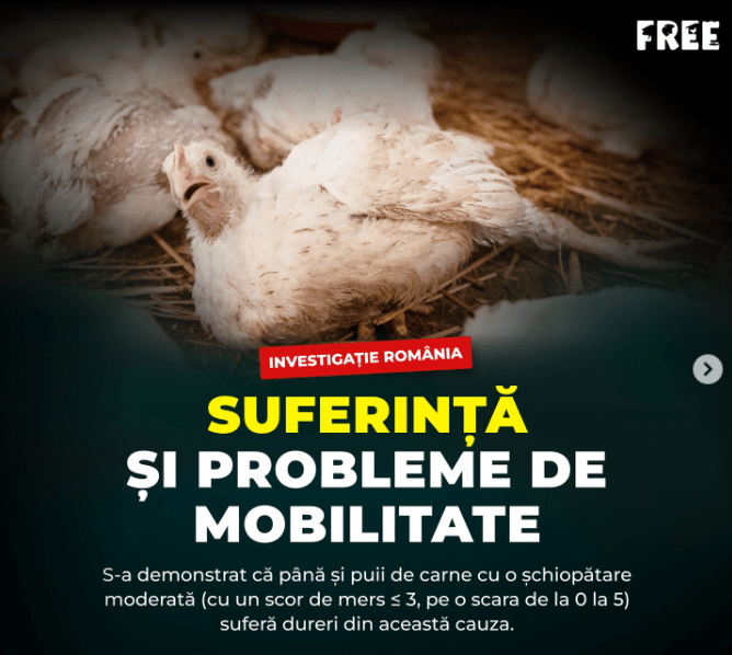 Screenshot 2023-11-29 165314