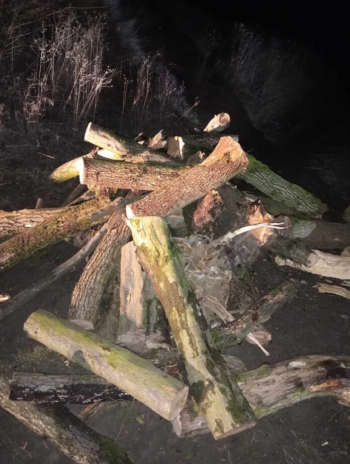 410120871_3662822990665199_8544954917139627572_n