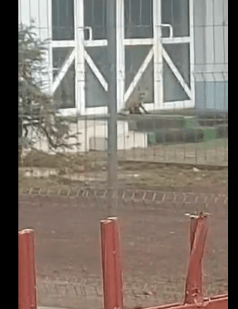 Screenshot 2024-01-01 190515