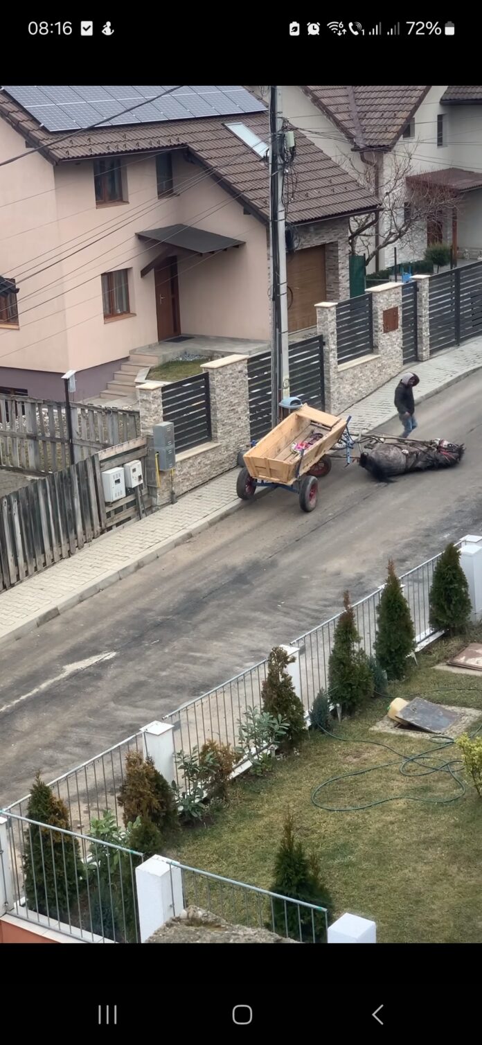 Screenshot_20240213_081627_Facebook