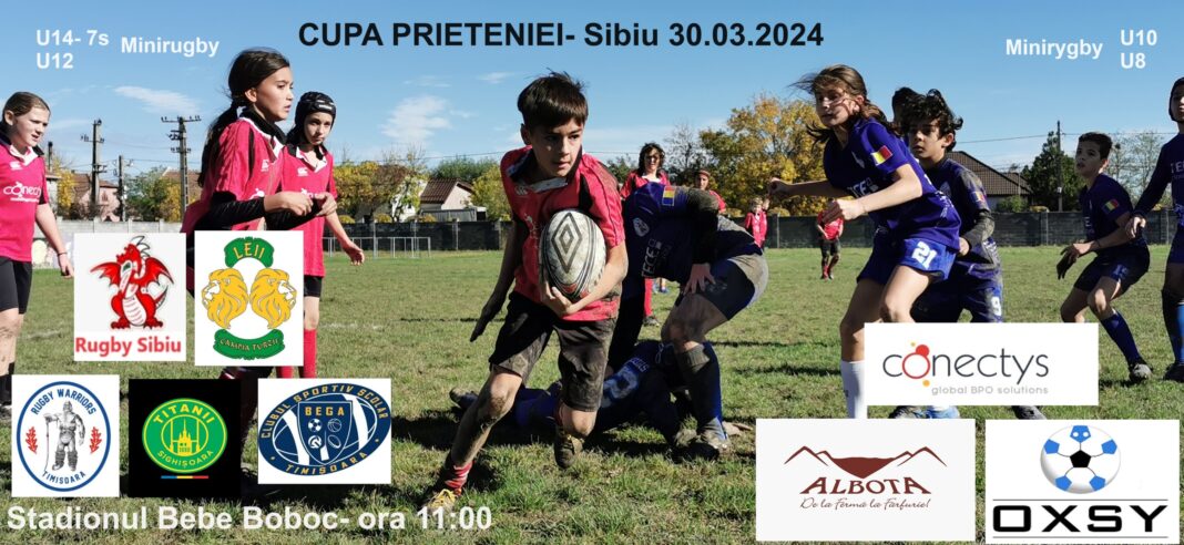 Leii luptă, la Sibiu, pentru Cupa Prieteniei