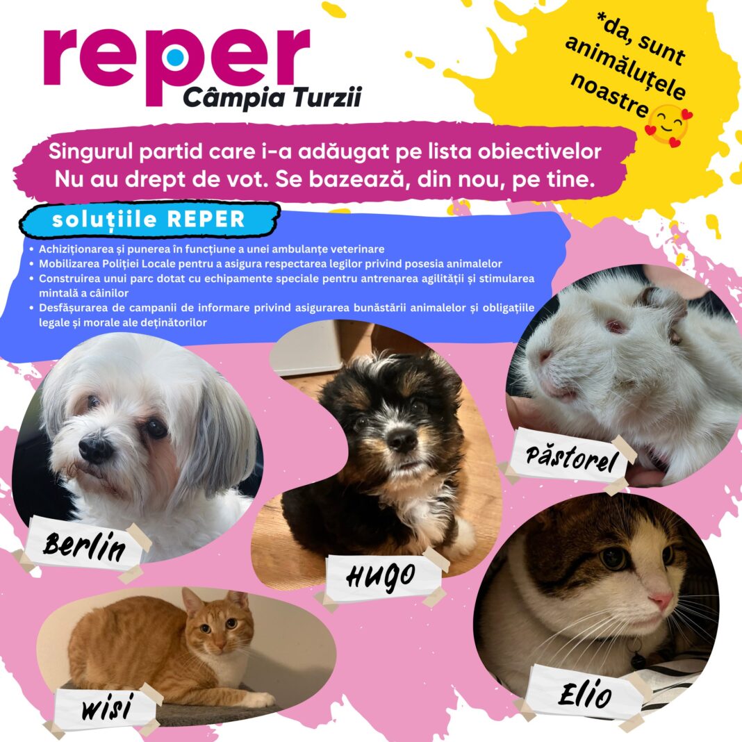 REPER, singurul partid politic din Câmpia Turzii care are un plan pentru animalele de companie! REPER, singurul partid politic din Câmpia Turzii care are un plan pentru animalele de companie!