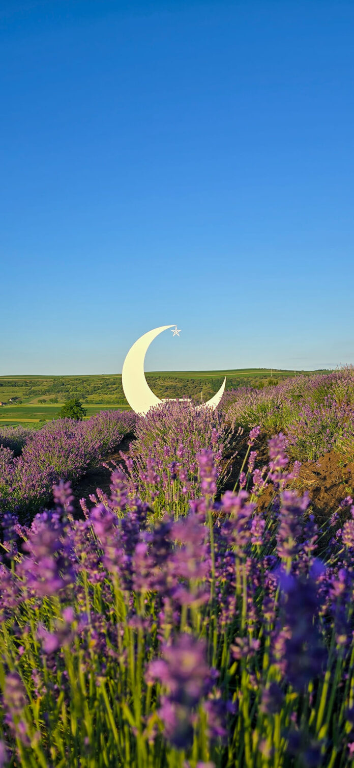 448120254_983679630426759_8428516940558267263_n