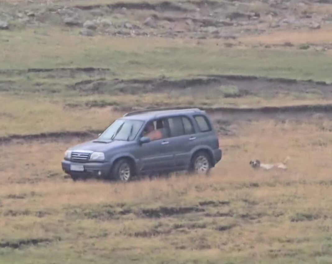 Amenda si dosar penal pentru cel ce a schingiuit un caine la Sandulesti