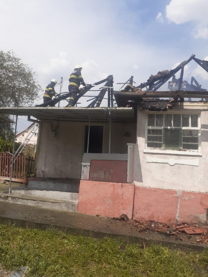 WhatsApp Image 2024-07-14 at 16.28.11