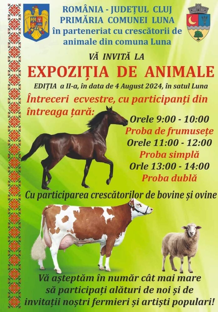 WhatsApp Image 2024-07-16 at 07.50.04 (1)