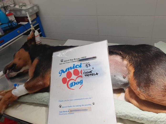 FB_IMG_1724744032820