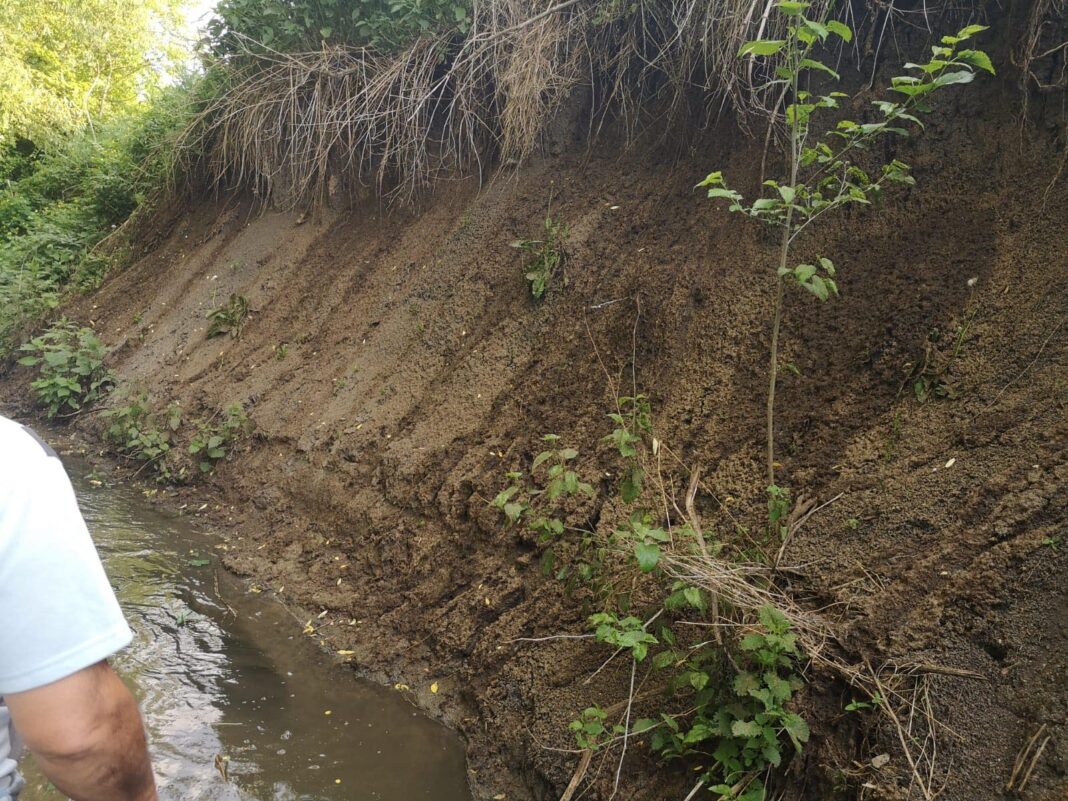 Profitul bate legea! Dezastru ecologic