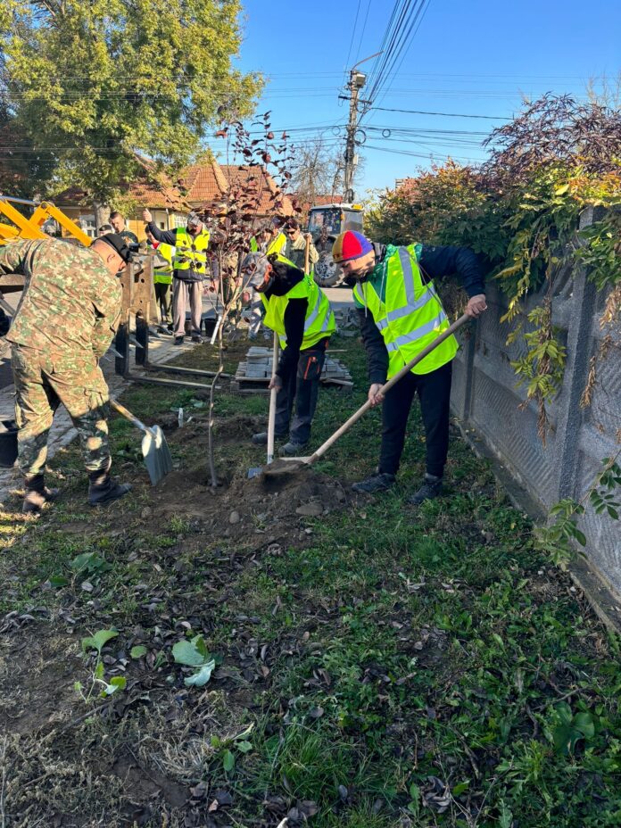 WhatsApp Image 2024-10-29 at 10.25.01 (2)