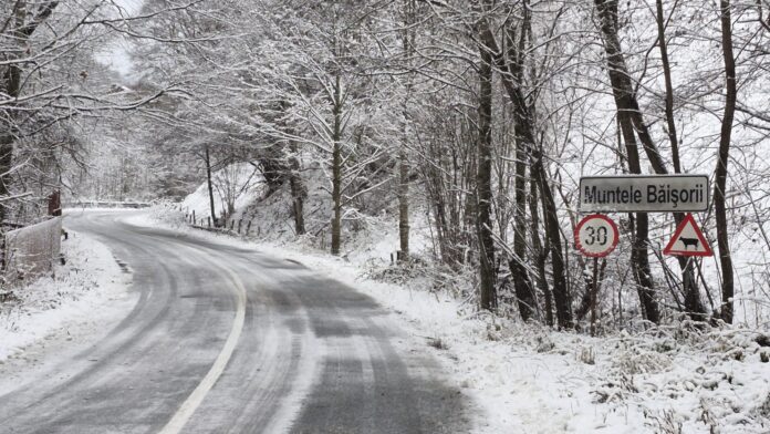 deszapezire noiembrie 2024 3 DJ 107R