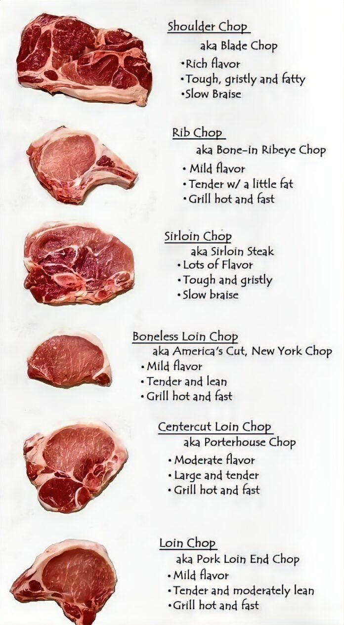 471665501_561173890144623_7104100333000176249_n