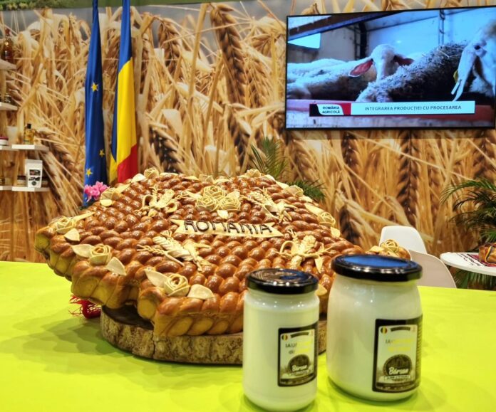 473709540_1041127968055583_6001474535296911334_n