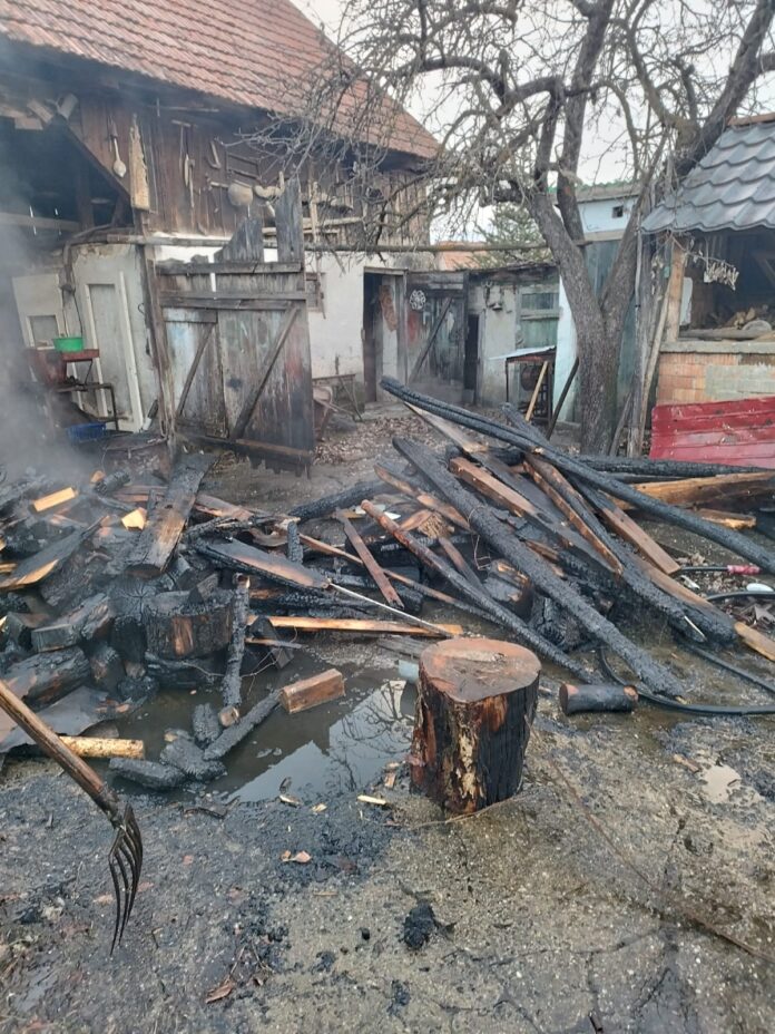 WhatsApp Image 2025-01-21 at 17.22.18_02aecd81