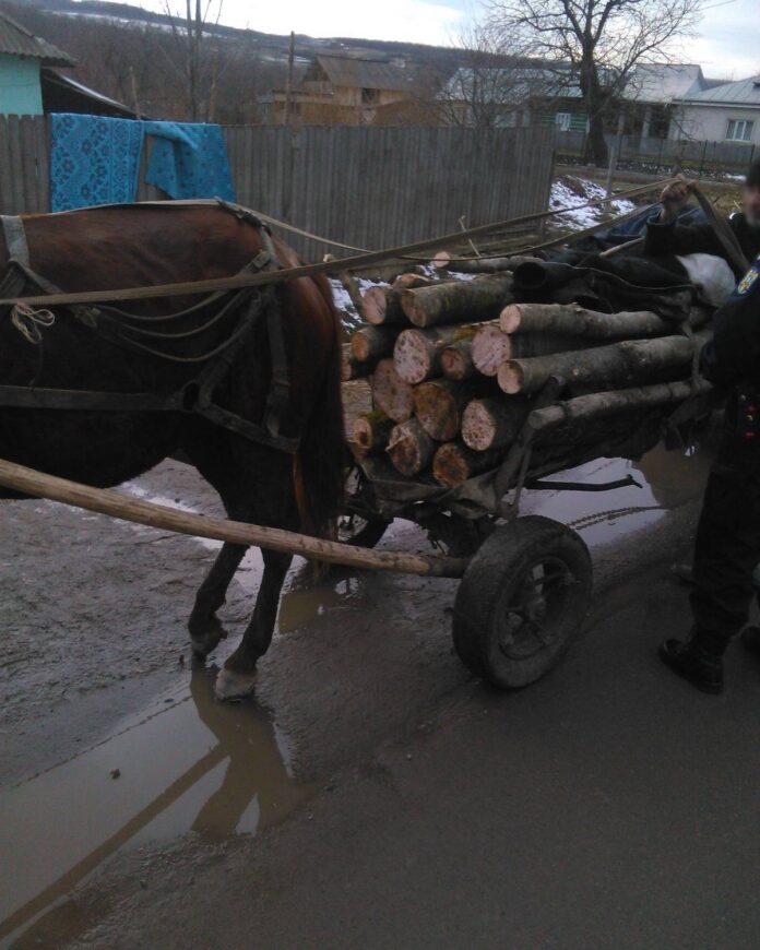 479724158_1059716919518933_3673611629772448010_n