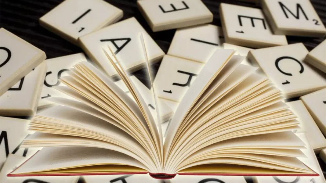 Care este demonimul Campiei Turzii?