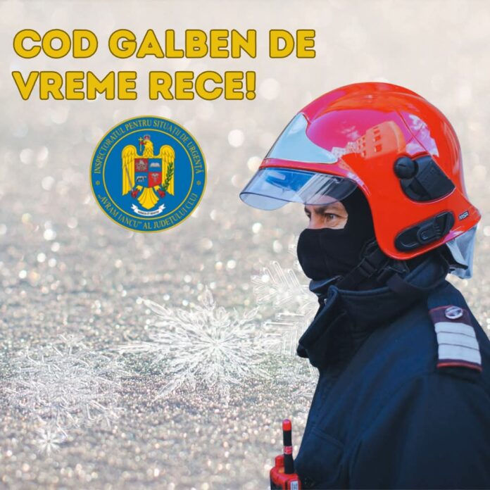 FB_IMG_1740069874892