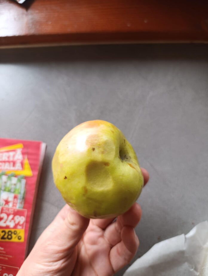 69c1dd0d-dcc2-45a1-a73e-40817312f4f8