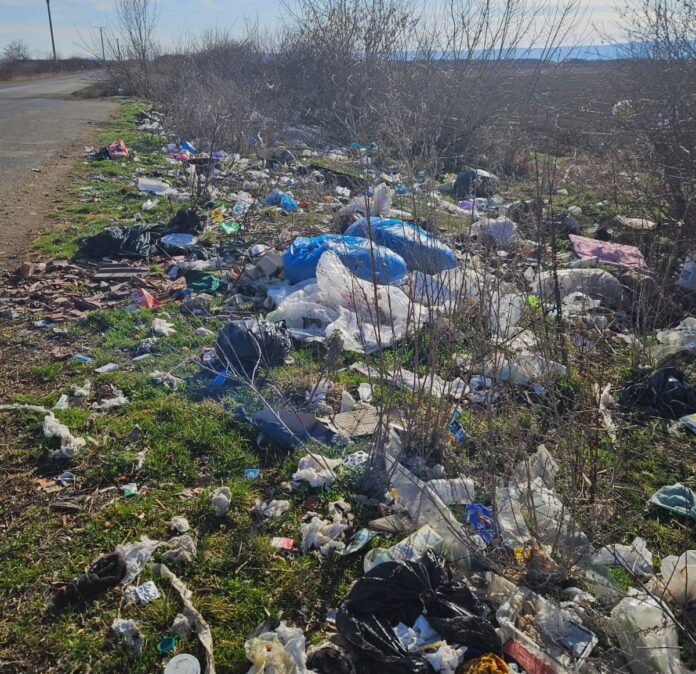 DJ 107F salubrizare 1