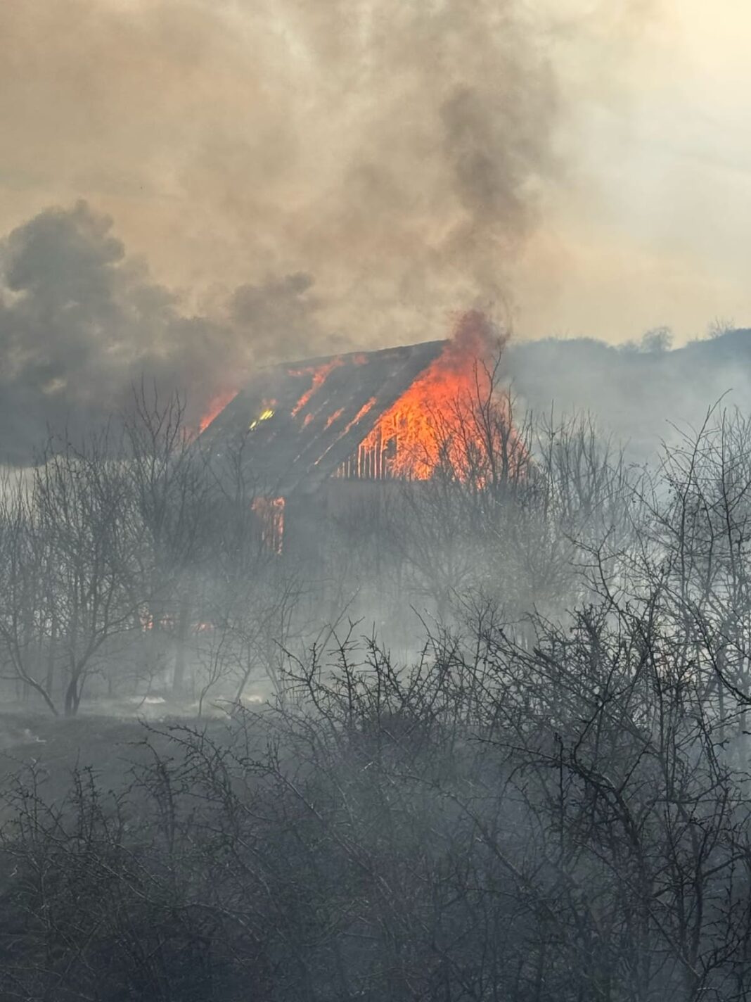 VIDEO: Arderile de vegetație fac ravagii în județul CLUJ VIDEO: Arderile de vegetație fac ravagii în județul CLUJ