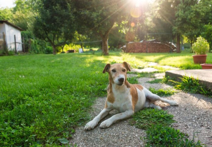 WhatsApp Image 2025-03-29 at 17.40.03