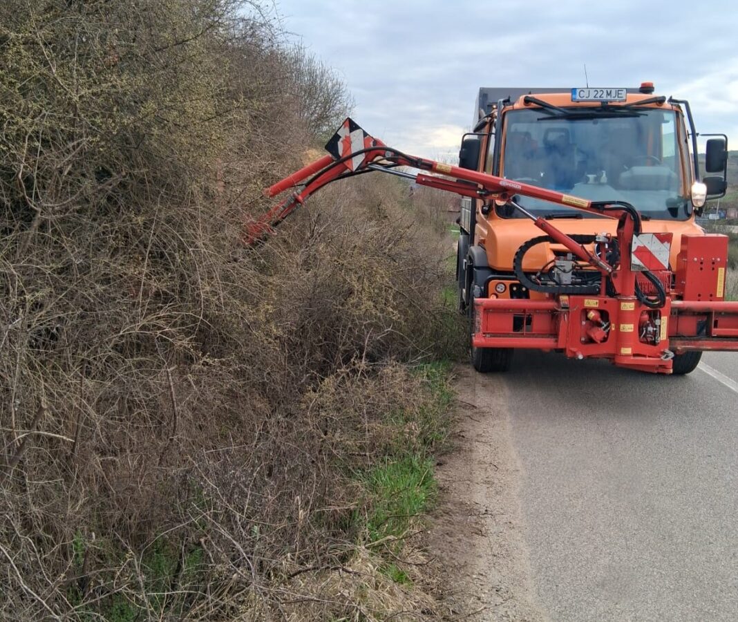 Consiliul Județean Cluj a demarat lucrările de toaletare a arborilor din vecinătatea drumurilor județene