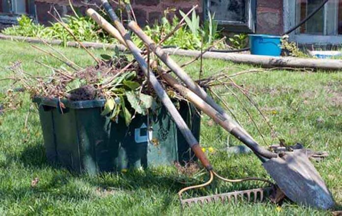 deseuri-vegetale-campia-turzii