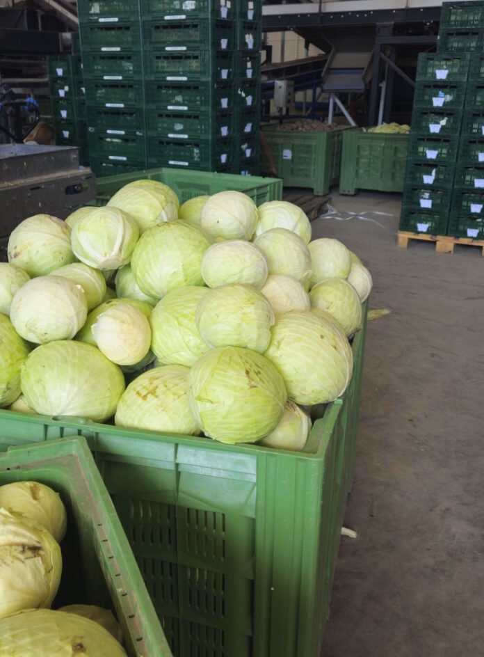 494724738_10022831164427796_8111966628408976676_n