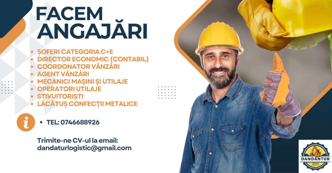 Dandantur Logistic angajează! Oportunități pentru profesioniști din mai multe domenii