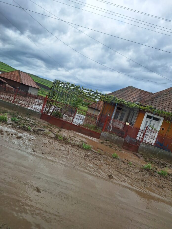 WhatsApp Image 2025-05-06 at 15.44.48_2fd7de77