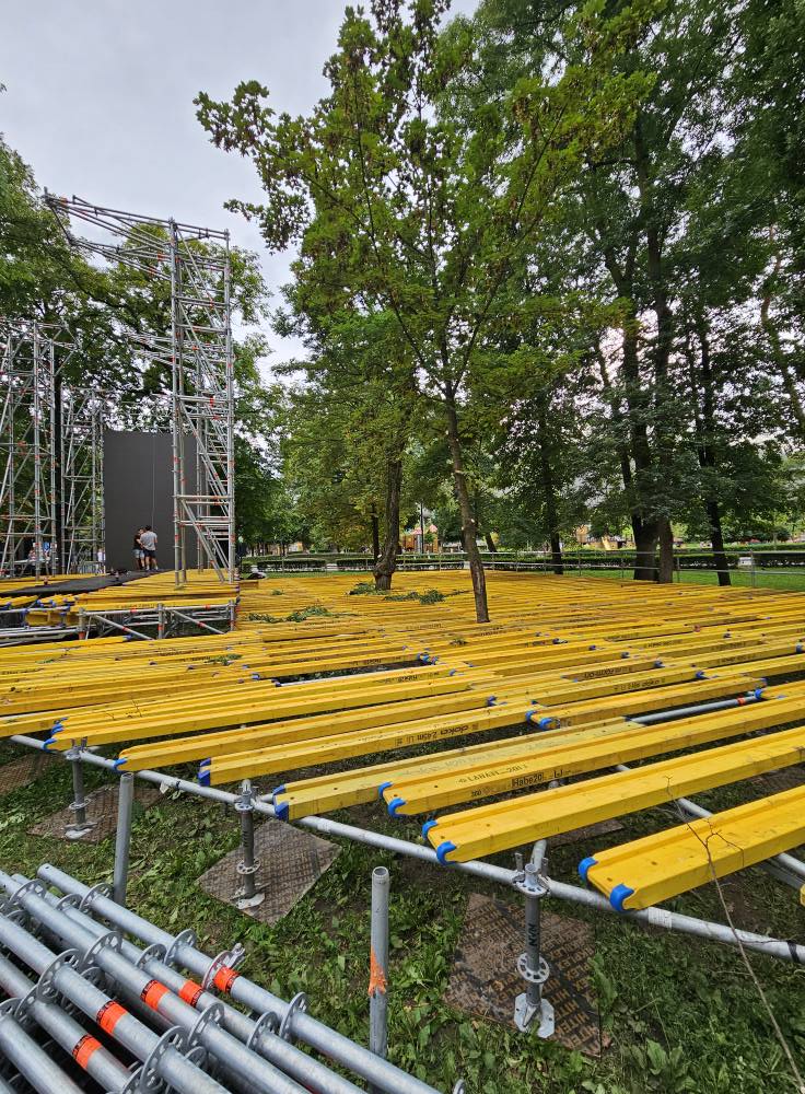 arbori Parcul Central