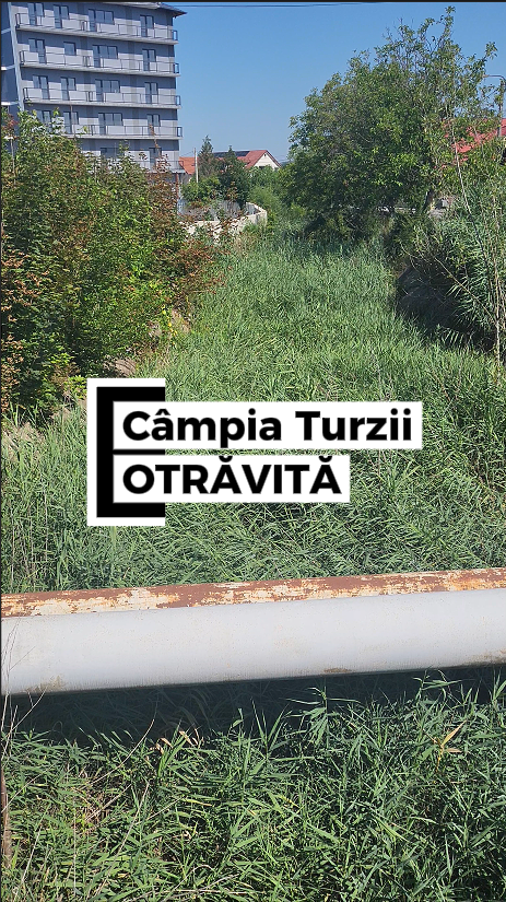 Câmpia Turzii OTRĂVITĂ
