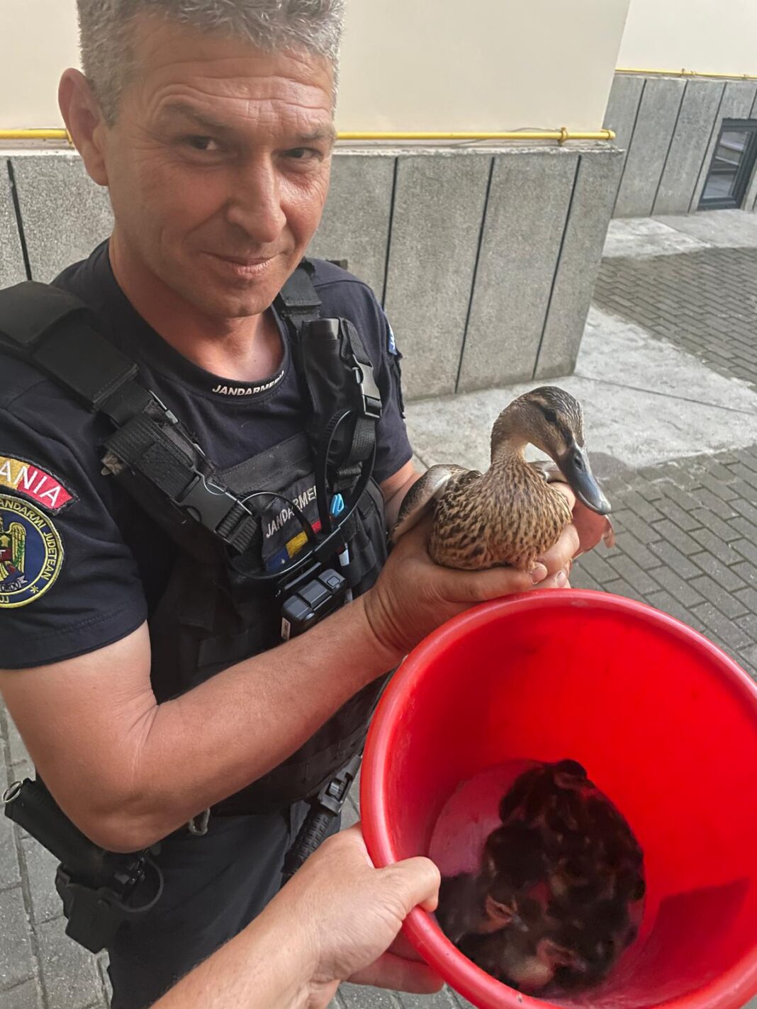 Vizită surpriză la Curtea de Conturi…